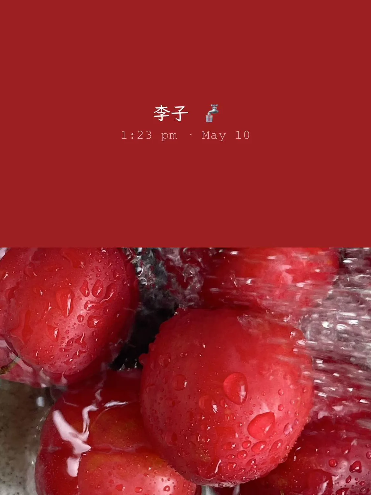 洗李子